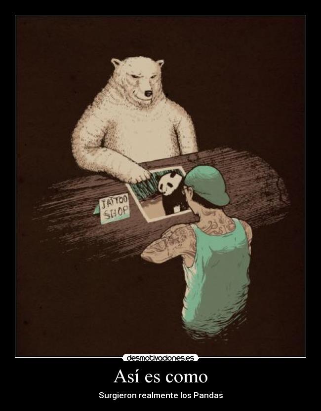 Así es como - Surgieron realmente los Pandas