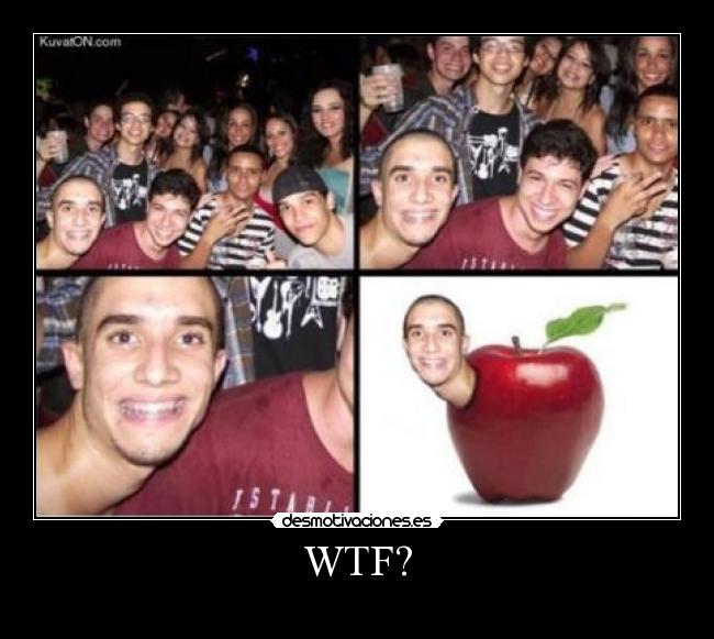WTF? - 
