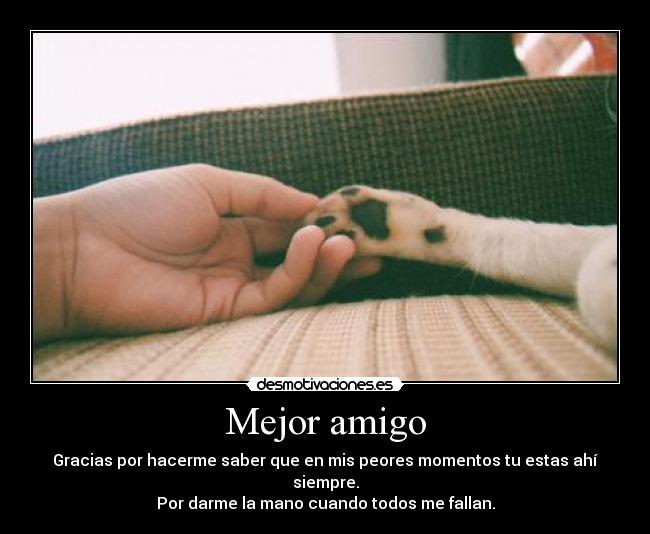 Mejor amigo - 