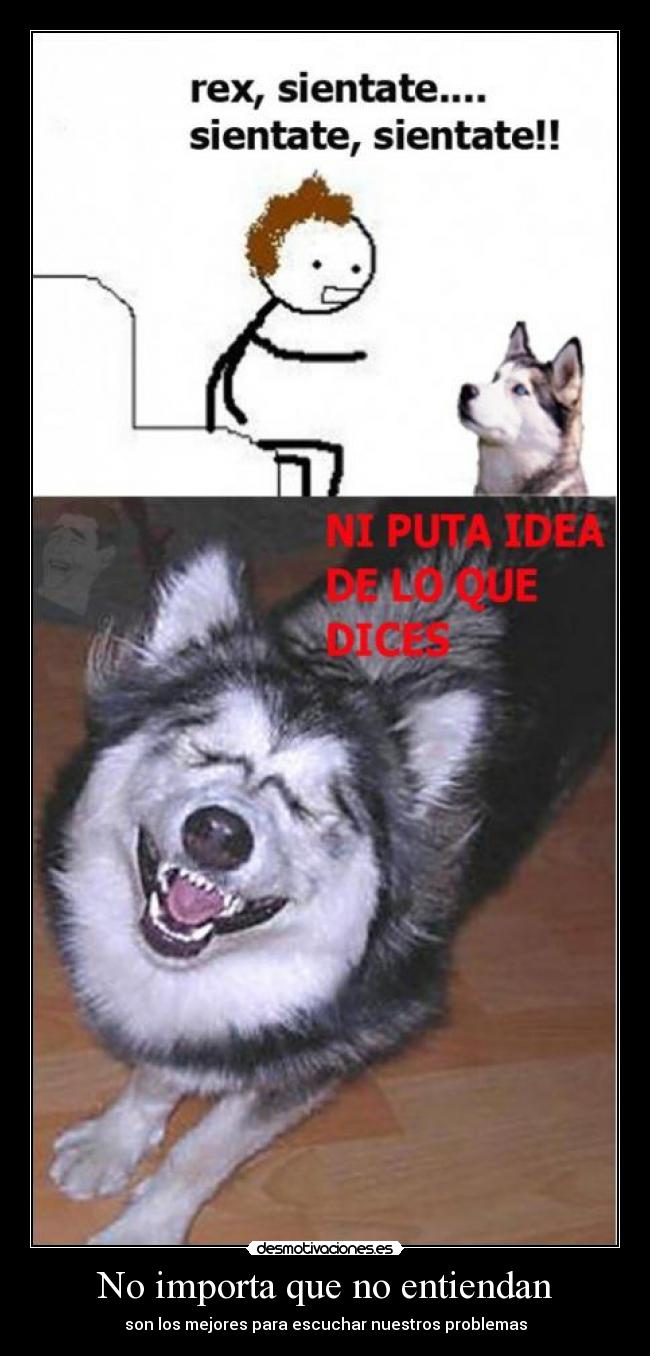 No importa que no entiendan - son los mejores para escuchar nuestros problemas