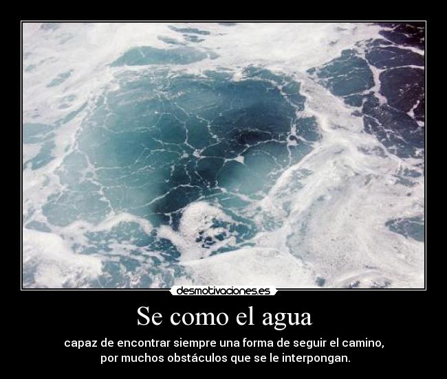 Se como el agua -