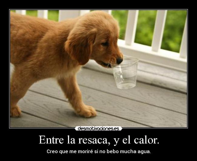 Entre la resaca, y el calor. -