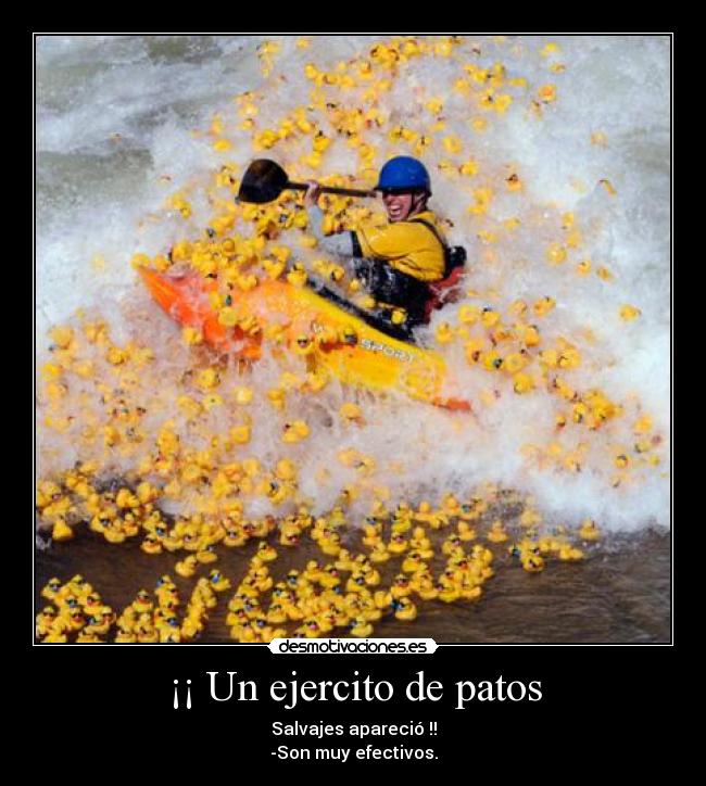 ¡¡ Un ejercito de patos -