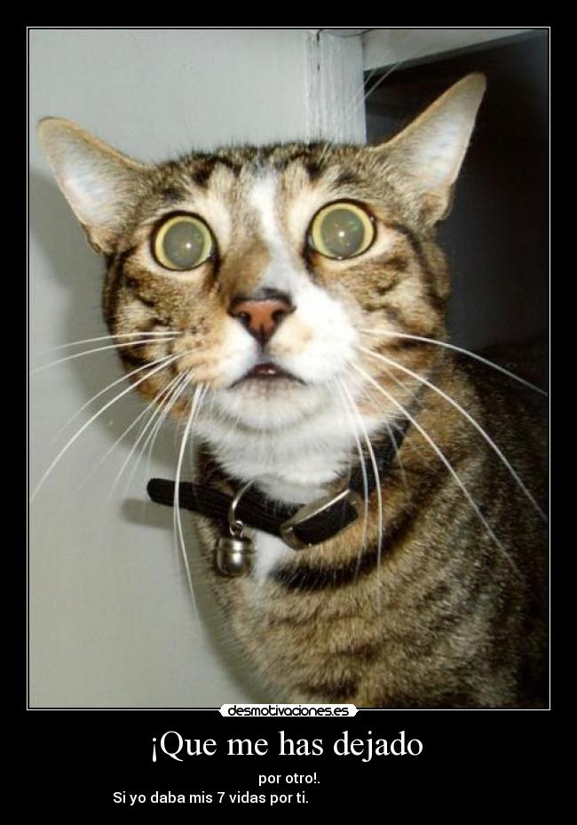 ¡Que me has dejado  - 