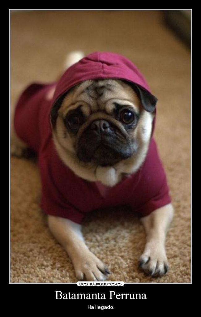 Batamanta Perruna - Ha llegado.