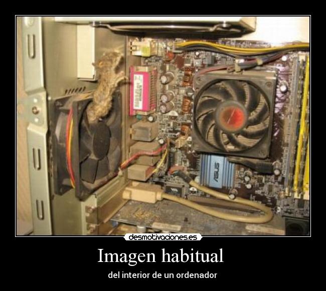 Imagen habitual  - del interior de un ordenador 
