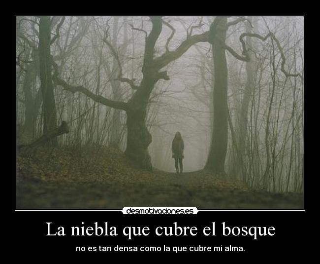 La niebla que cubre el bosque - 