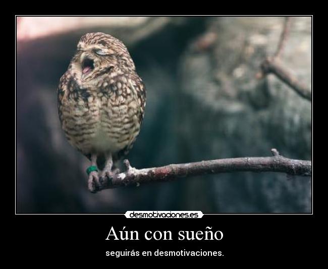 Aún con sueño - seguirás en desmotivaciones.