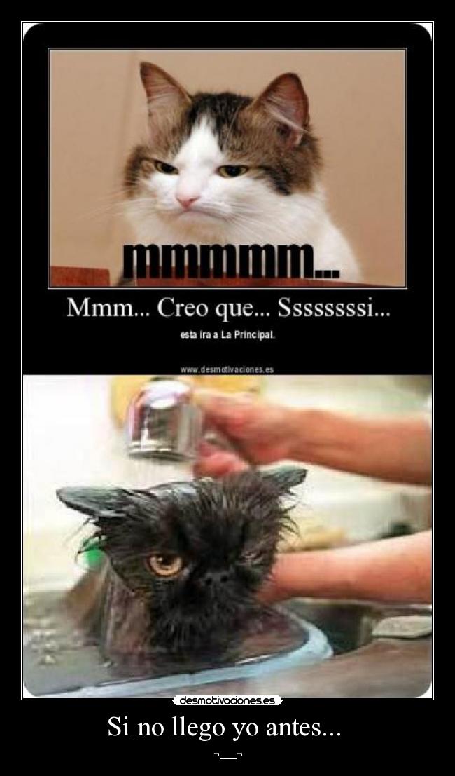 Si no llego yo antes... -