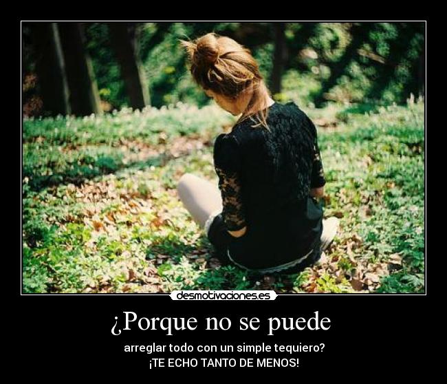 ¿Porque no se puede  - 