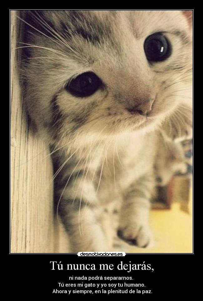 Tú nunca me dejarás, - 