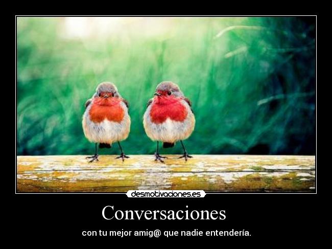 Conversaciones  - 