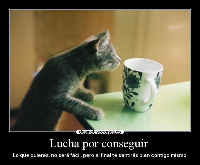 Lucha por conseguir  - Lo que quieres, no será fácil, pero al final te sentirás bien contigo mismo.