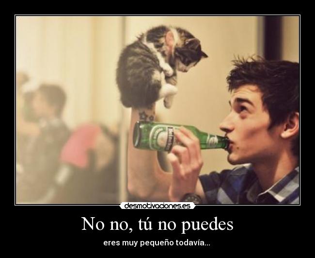 No no, tú no puedes -