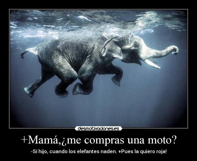 +Mamá,¿me compras una moto? -
