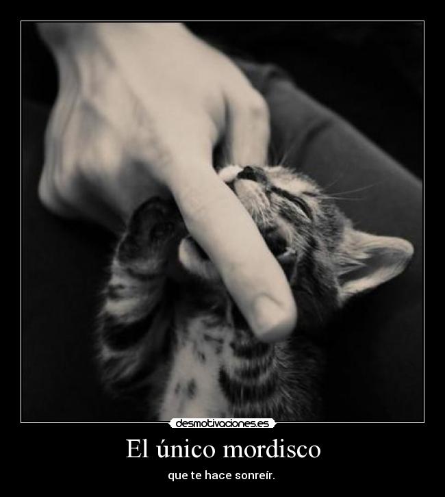 El único mordisco - 