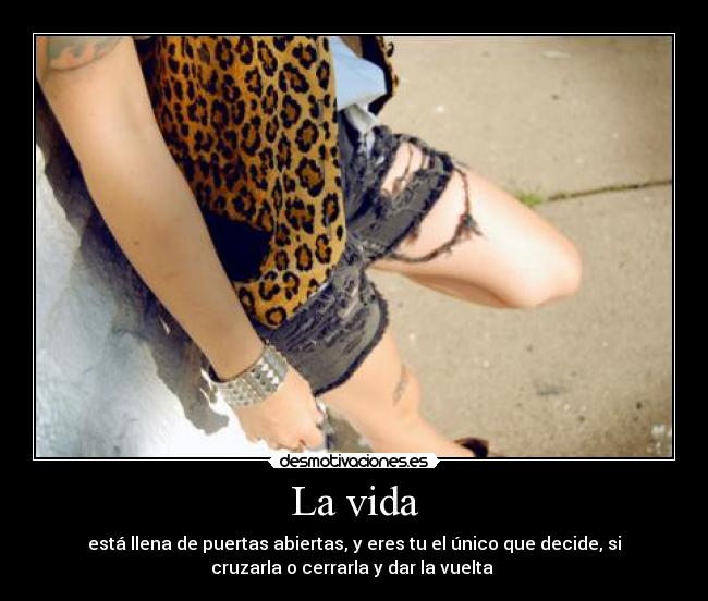 carteles vida lavida desmotivaciones