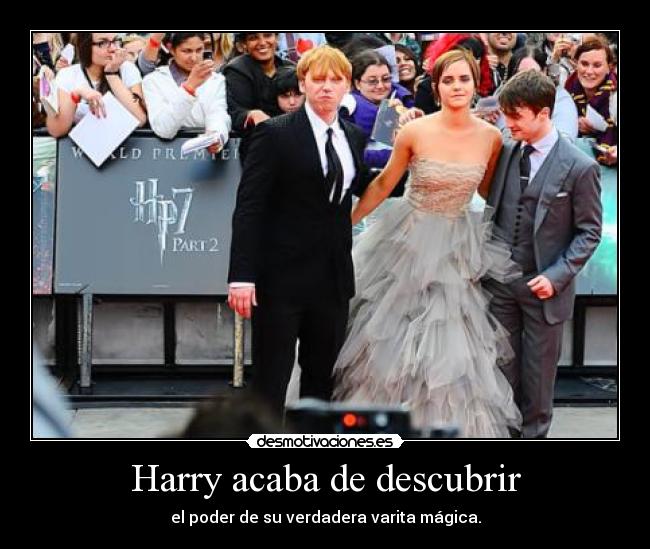 Harry acaba de descubrir - 