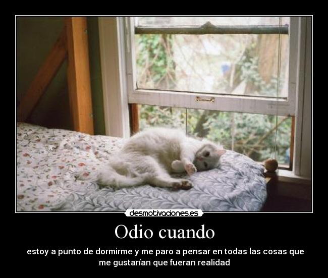 Odio cuando - estoy a punto de dormirme y me paro a pensar en todas las cosas que
me gustarían que fueran realidad