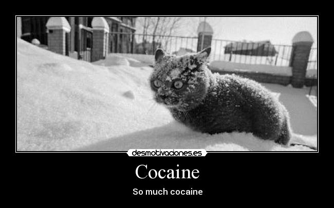 Cocaine - 