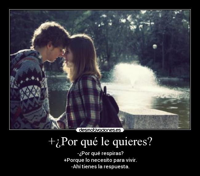 +¿Por qué le quieres? - -¿Por qué respiras?
+Porque lo necesito para vivir.
-Ahí tienes la respuesta.
