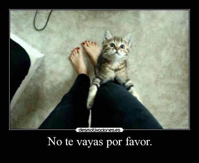 No te vayas por favor. -