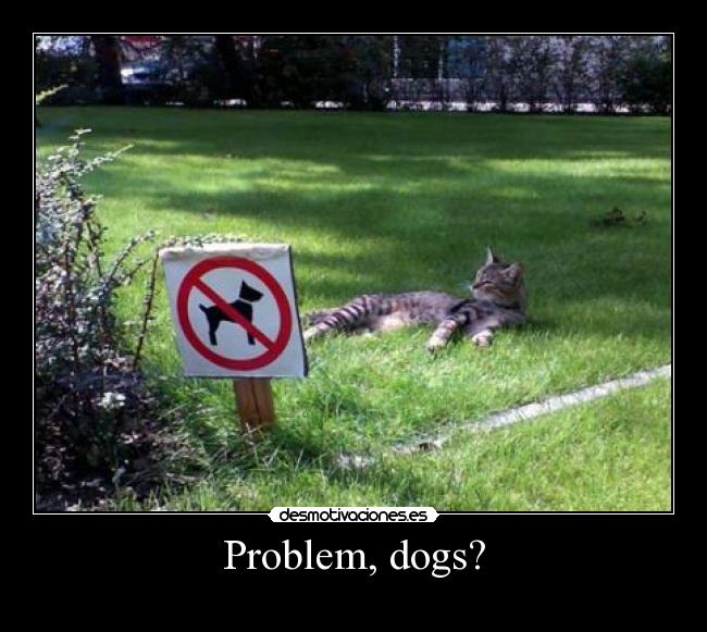 Problem, dogs? - 