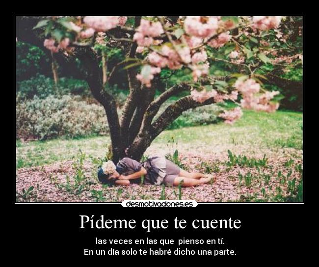 Pídeme que te cuente - las veces en las que pienso en tí.
En un día solo te habré dicho una parte.