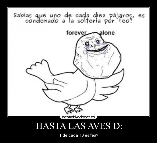 HASTA LAS AVES D: -
