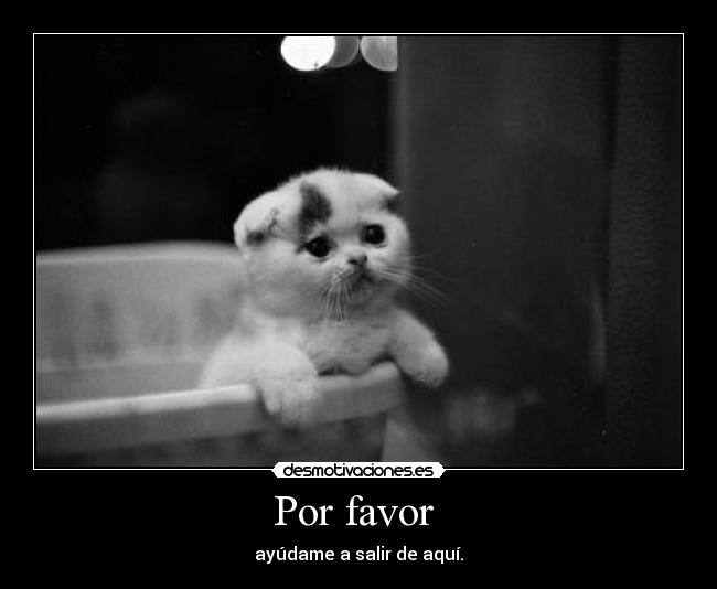 Por favor -