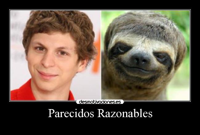 Parecidos Razonables - 
