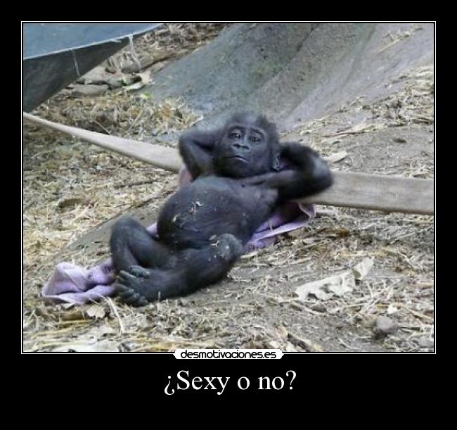 ¿Sexy o no? - 