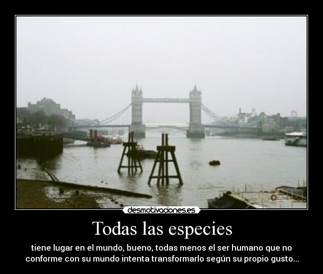 Todas las especies - 