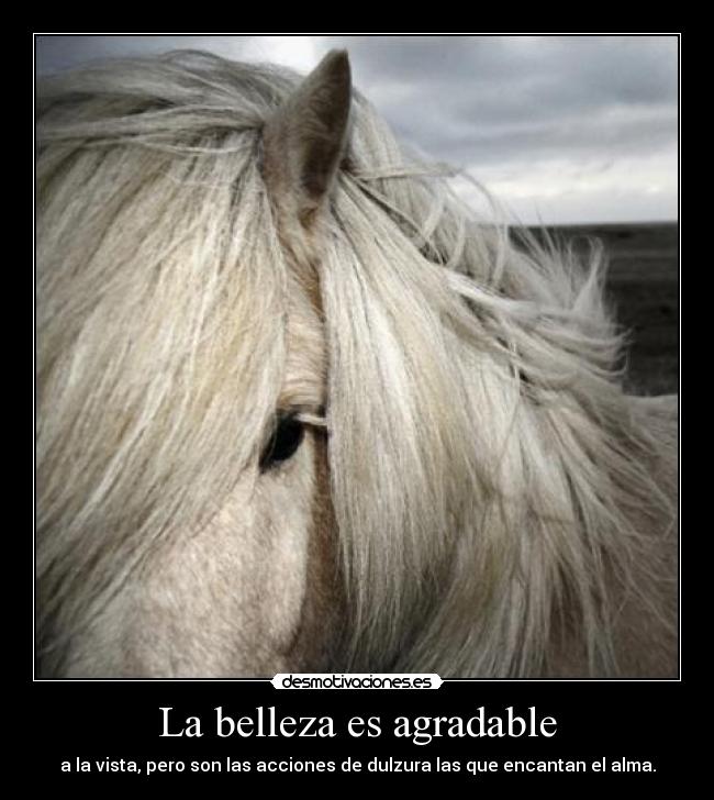 La belleza es agradable -