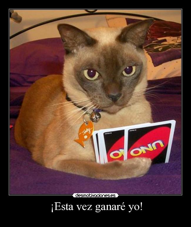 ¡Esta vez ganaré yo! -