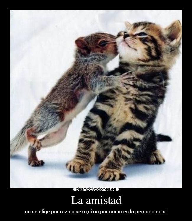 La amistad -