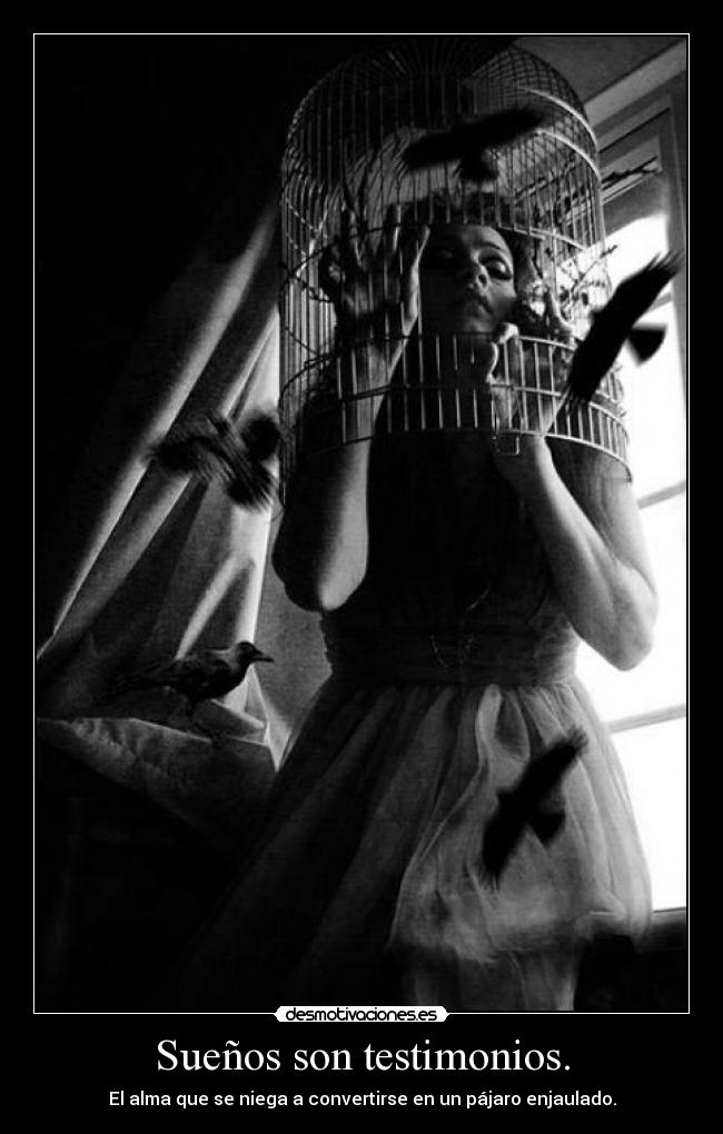 Sueños son testimonios. -