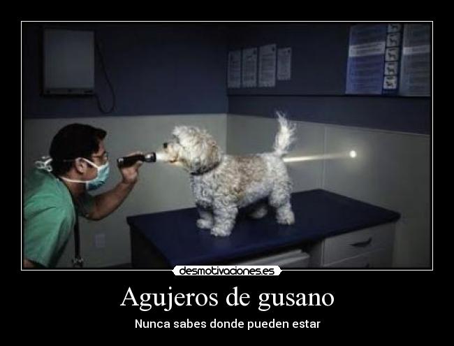 carteles luz parida parodia perro medico cartel desmotivaciones animal desmotivaciones