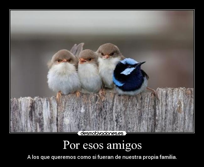 Por esos amigos - A los que queremos como si fueran de nuestra propia familia.