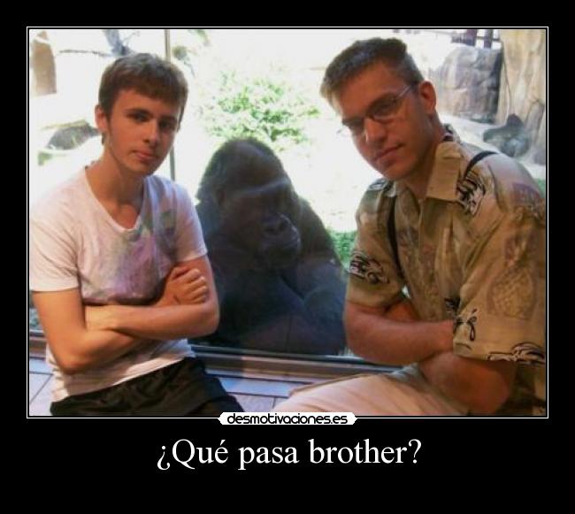 ¿Qué pasa brother? - 