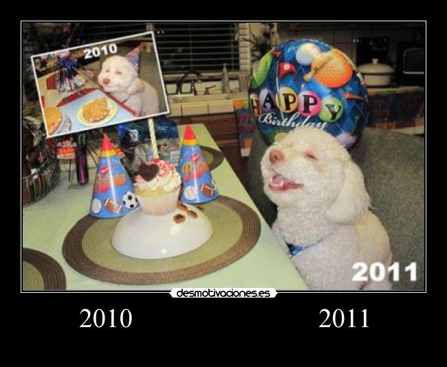 2010                           2011 - 