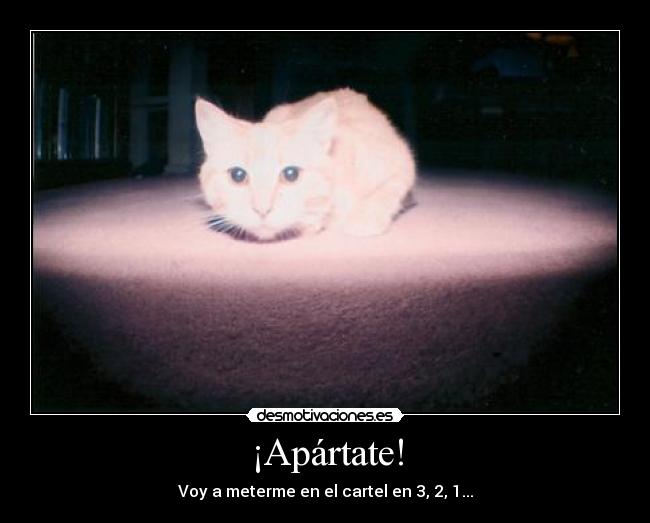 ¡Apártate! - Voy a meterme en el cartel en 3, 2, 1...