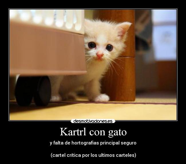 Kartrl con gato -