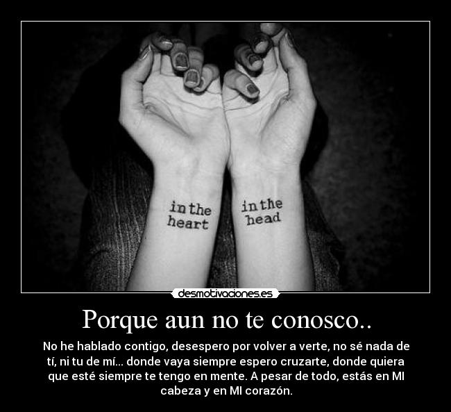 Porque aun no te conosco.. - No he hablado contigo, desespero por volver a verte, no sé nada de
tí, ni tu de mí... donde vaya siempre espero cruzarte, donde quiera
que esté siempre te tengo en mente. A pesar de todo, estás en MI
cabeza y en MI corazón.