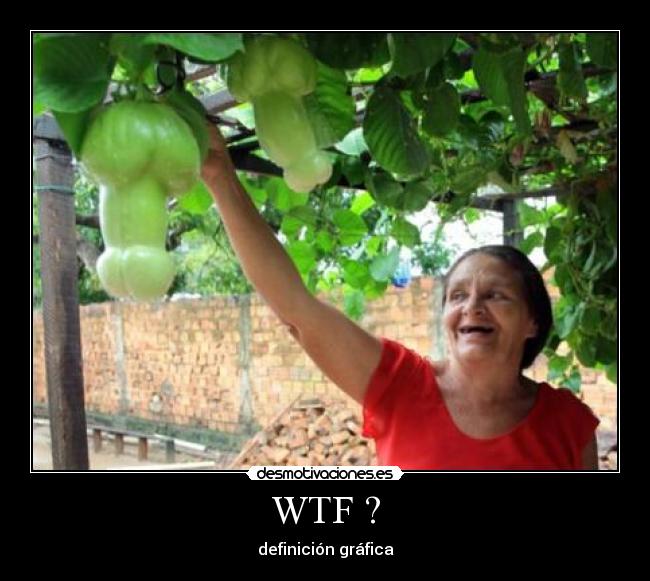 WTF ? - definición gráfica