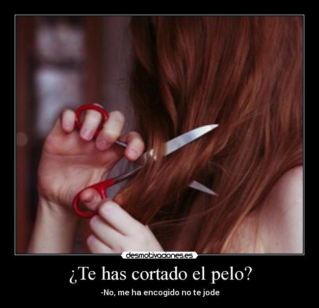 carteles pelo desmotivaciones