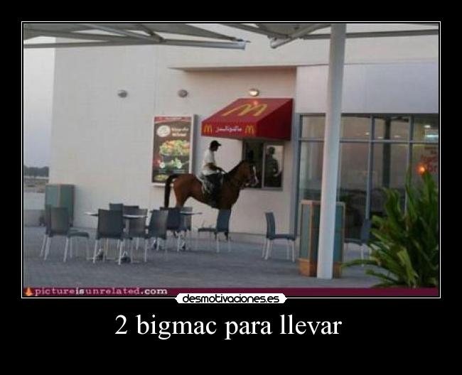 carteles caballo desmotivaciones
