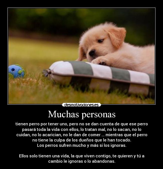 Muchas personas - tienen perro por tener uno, pero no se dan cuenta de que ese perro
pasará toda la vida con ellos, lo tratan mal, no lo sacan, no lo
cuidan, no lo acarician, no le dan de comer ... mientras que el perro
no tiene la culpa de los dueños que le han tocado.
Los perros sufren mucho y más si los ignoras.

Ellos solo tienen una vida, la que viven contigo, te quieren y tú a
cambio le ignoras o lo abandonas.