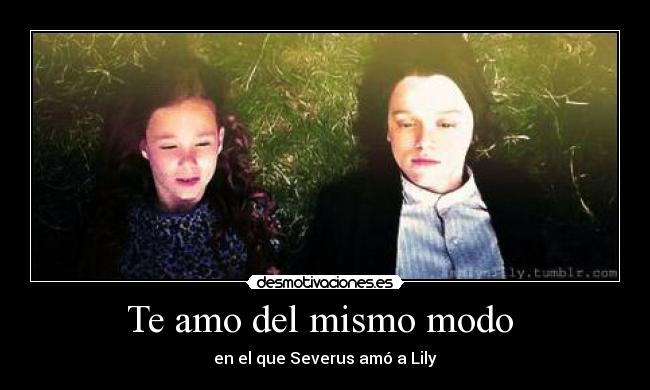 carteles harrypottersnapeseveruslilyevans desmotivaciones