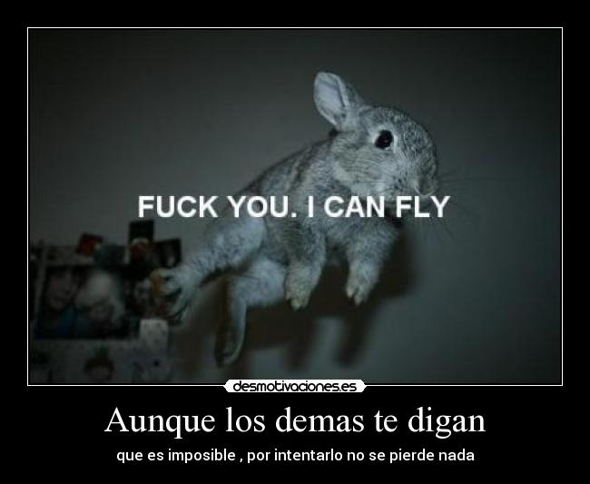 Aunque los demas te digan - 